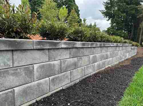 blocks surrounding garden plot